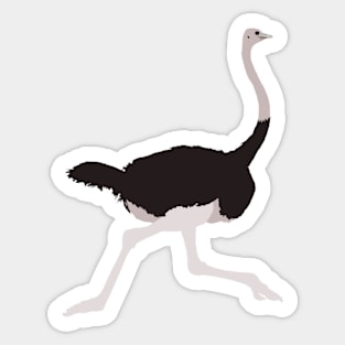 Southern Ostrich Sticker